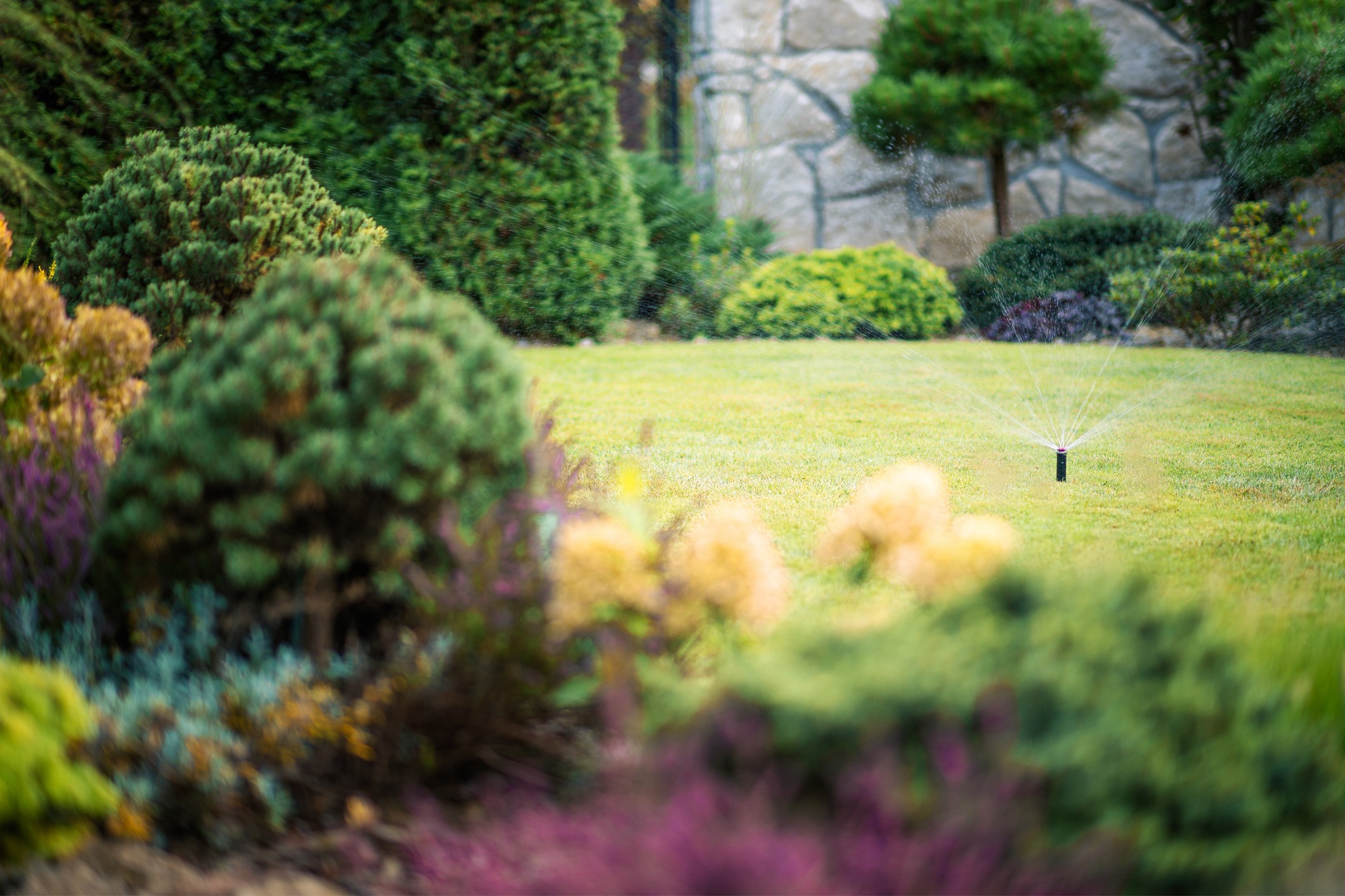 Lush garden featuring a sprinkler, various colorful plants, and a stone wall in the background, creating a serene and vibrant outdoor setting.